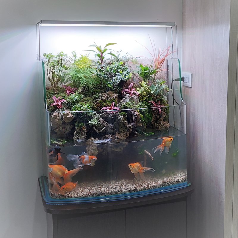开运生态造景鱼缸 AA-60海湾ㄇ型     居家风水、最佳选择 - 植栽/盆栽 - 玻璃 