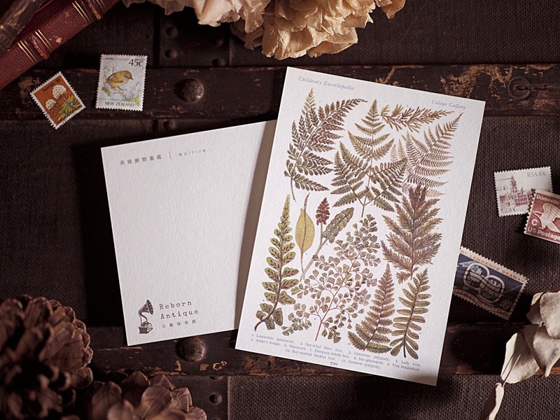 英国1910年百科图鉴 复刻版明信片 I款 - 卡片/明信片 - 纸 