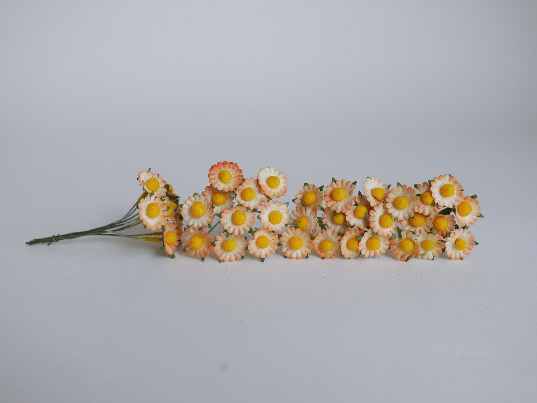 纸花，100 片 DIY 小雏菊花，尺寸 0.8 厘米，桃红 - 其他 - 纸 橘色