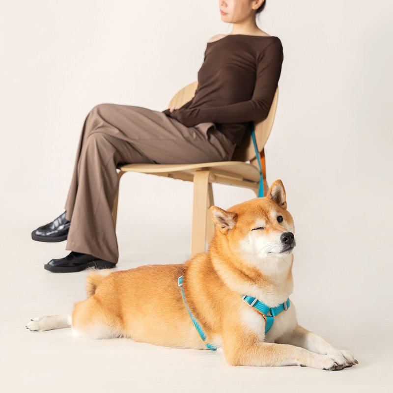【tails&me 尾巴与我】新经典系列 犬H型胸背带(双色 共6色) - 项圈/牵绳 - 尼龙 多色