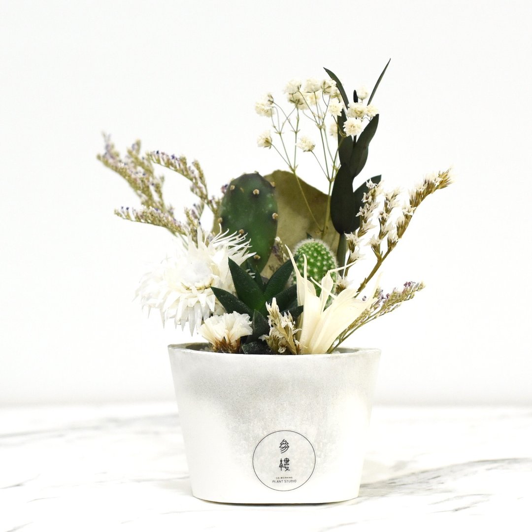 Third Floor【 原 生 】 仙人掌&amp;水泥盆 | DIY&amp;干燥花 - 植栽/盆栽 - 植物．花 