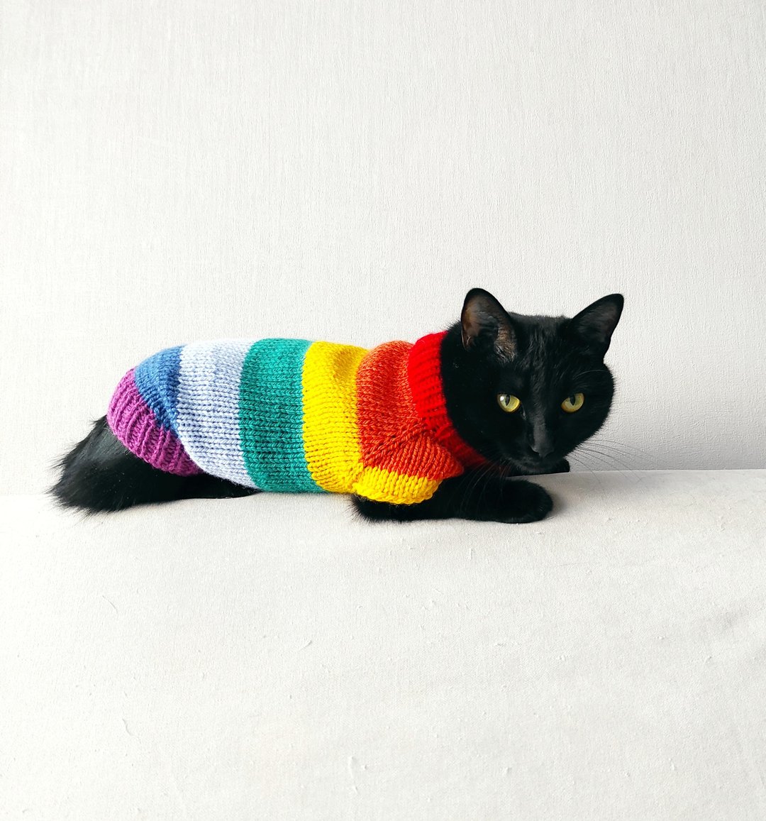 Rainbow sweater for pet Cat sweater Pet jumper Hand knit pet clothing Cat jumper - 衣/帽 - 羊毛 