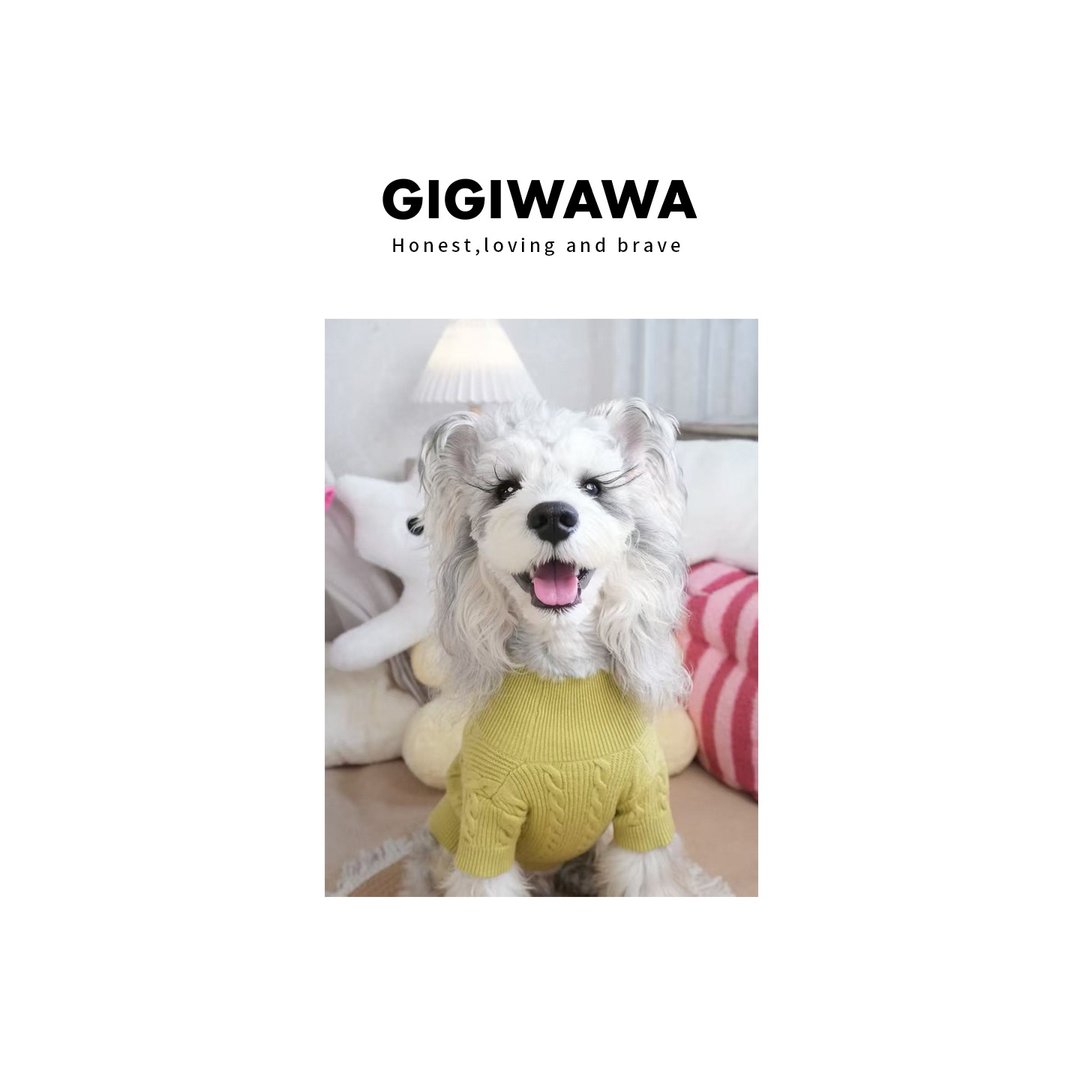 GIGIWAWA原创设计Urban系列宠物秋冬艾草抗菌保暖绿毛衣 - 衣/帽 - 其他材质 绿色