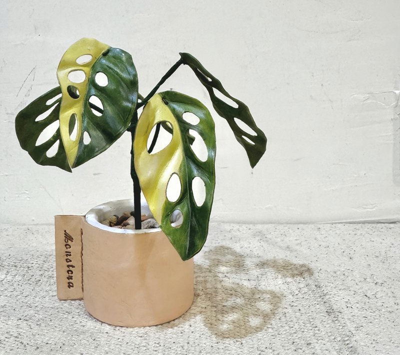 斑叶窗孔龟背芋皮革小品 - 植栽/盆栽 - 真皮 