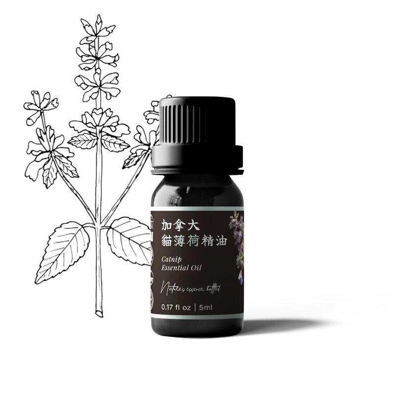 【卡佛香】加拿大猫薄荷精油 - 香薰/精油/线香 - 玻璃 黑色