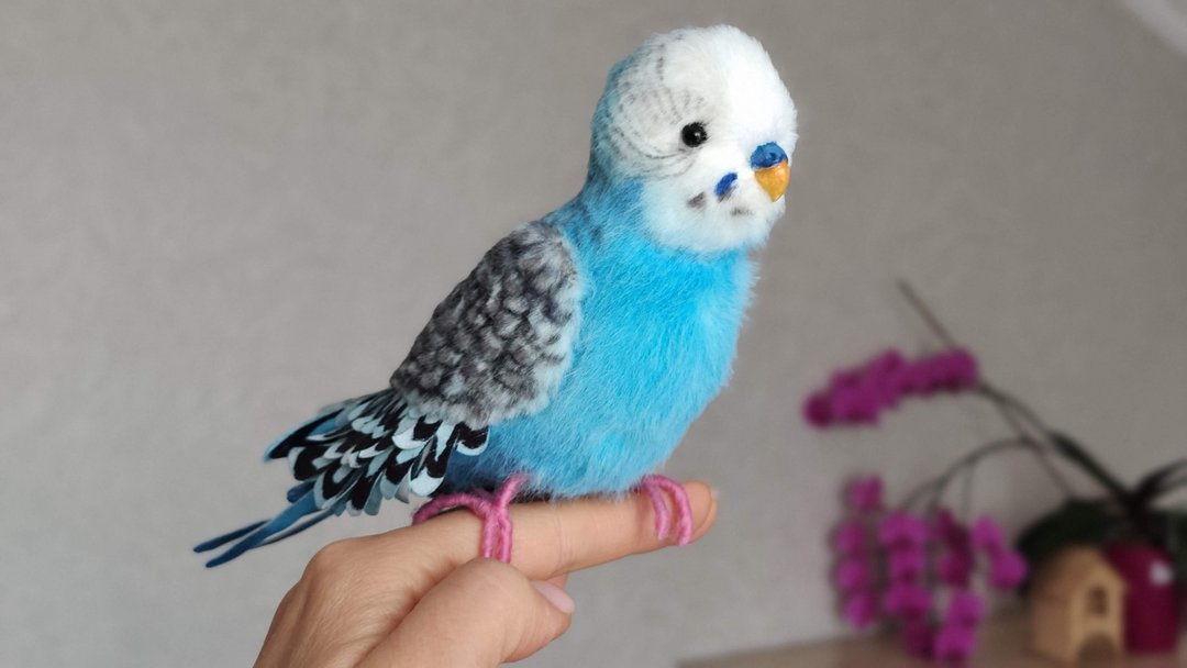 Budgie plush toy - 玩偶/公仔 - 其他材质 蓝色