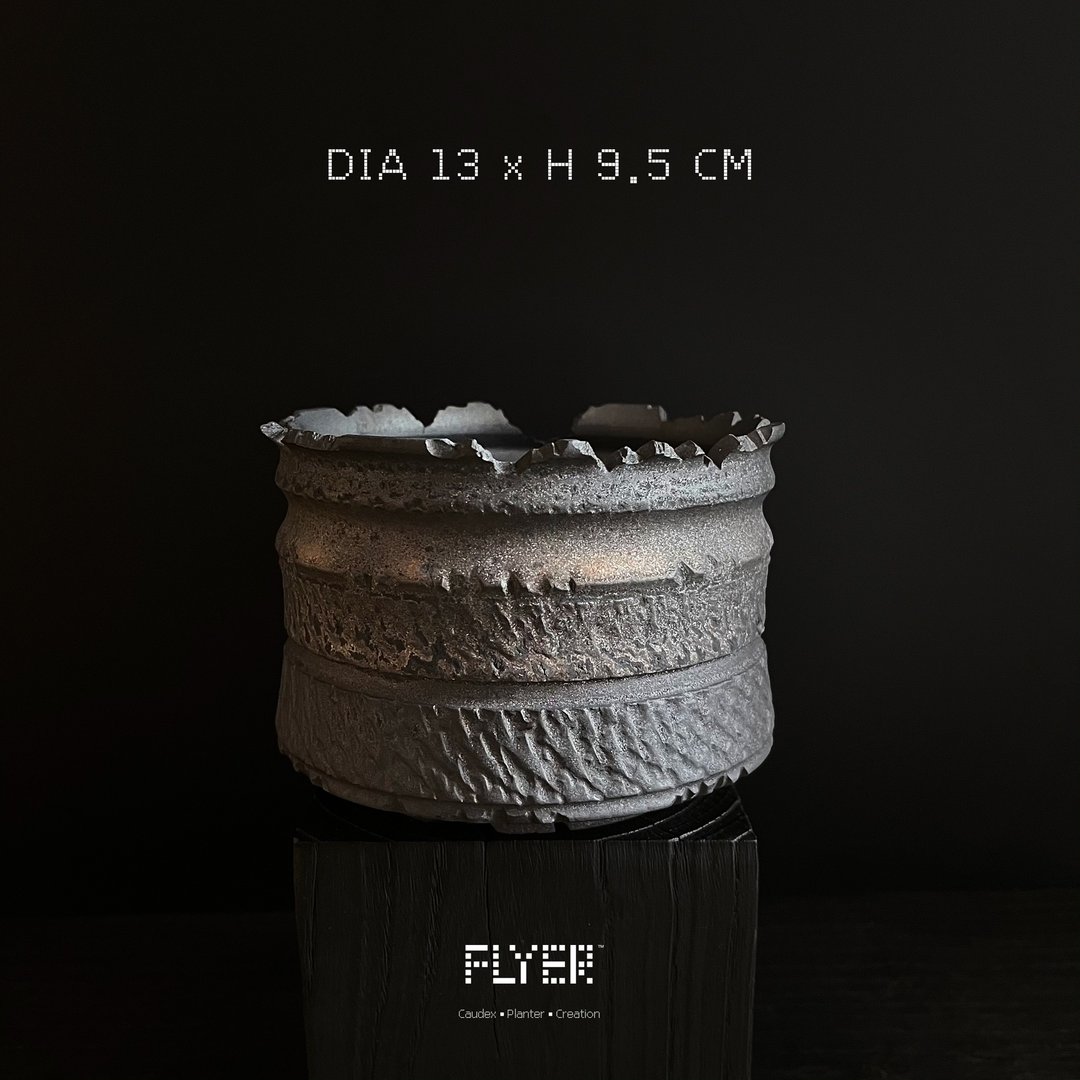 FLYER黑泥系列 块根多肉植物陶盆器 龙舌兰象牙宫盆器 - 花瓶/陶器 - 陶 