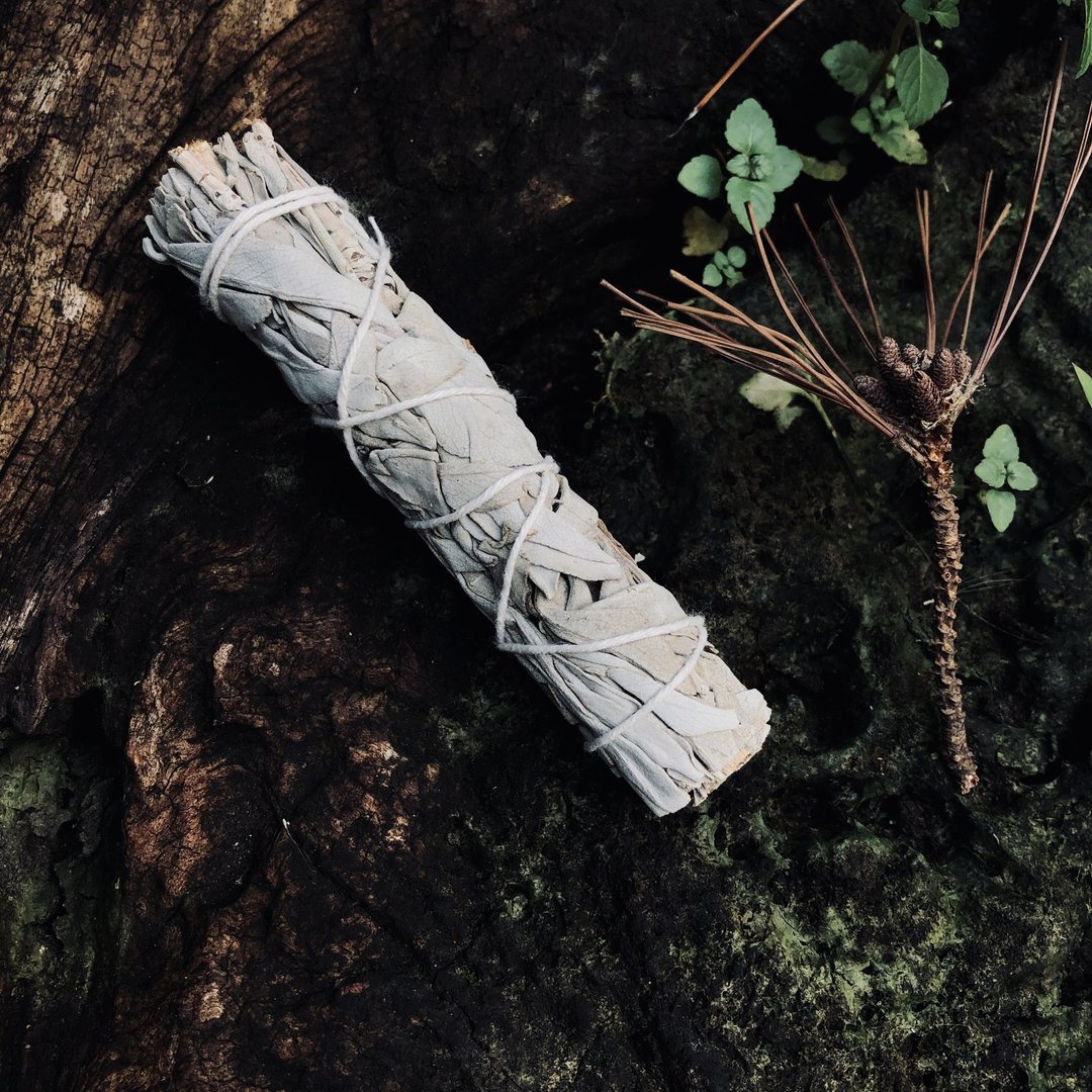 白色鼠尾草_迷你 - 干燥花/捧花 - 植物．花 多色