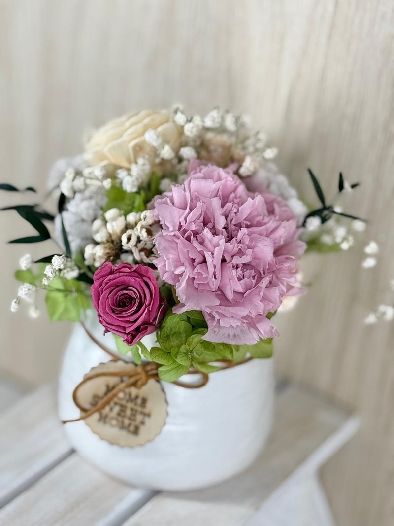 母亲节主题花卉 永生粉康乃馨陶瓷盆花 - 干燥花/捧花 - 植物．花 