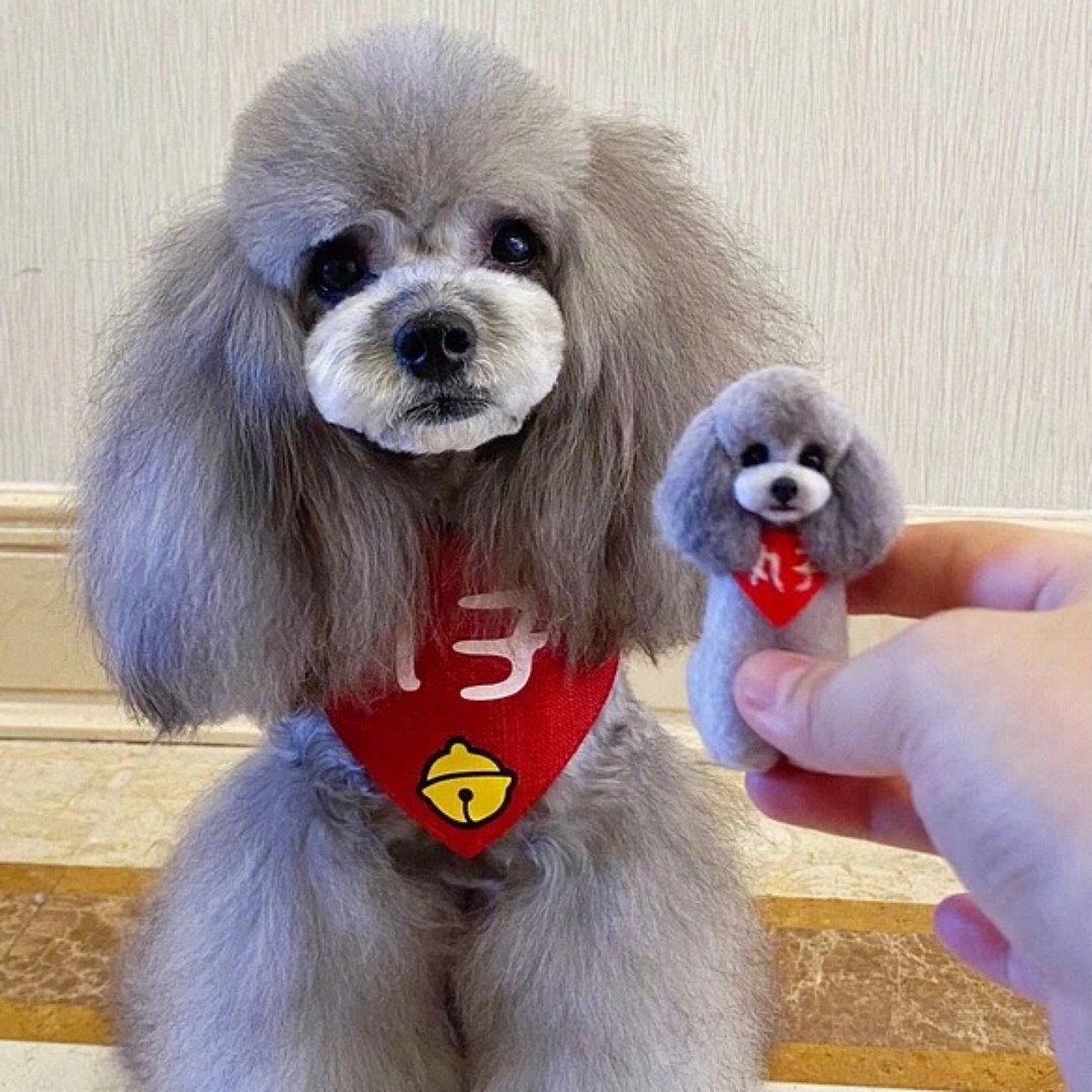 定制 逼真犬 毛孩 宠物 泰迪 羊毛毡 娃娃 似颜绘 纪念 狗狗 s8 - 玩具 - 羊毛 多色