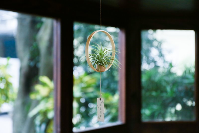 【单株-空气凤梨】 吊饰 挂饰 | 莳光 - 植栽/盆栽 - 植物．花 