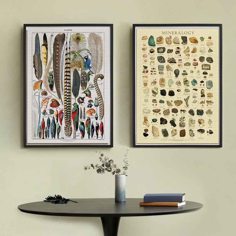 图鉴拼图-19世纪英国矿石学/鸟类羽毛品种图鉴(1000片) - 拼图 - 其他材质 蓝色