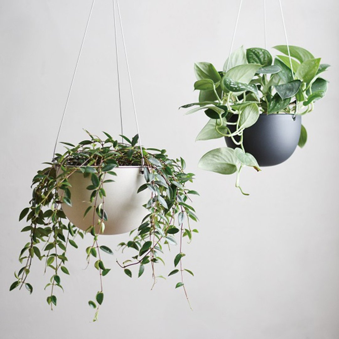 日本KINTO PLANT POT盆栽吊篮 / 共2色 / 14cm / 17.4 - 花瓶/陶器 - 玻璃 透明