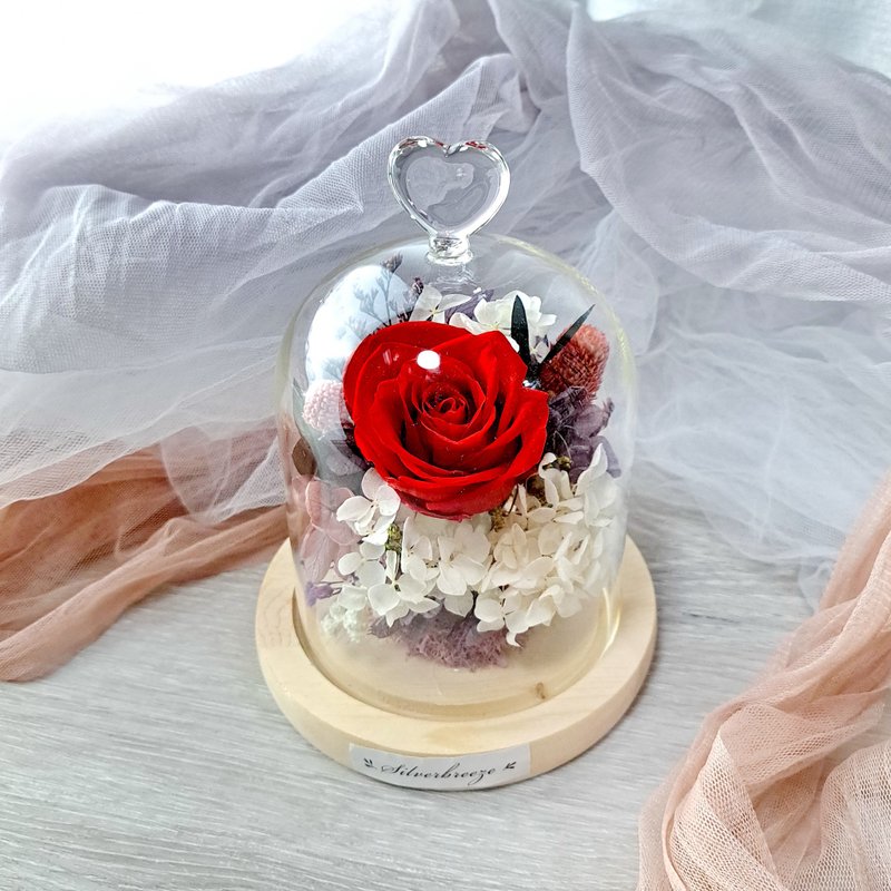 永生花玻璃罩 闺密 母亲节  玫瑰 情人节礼物 生日礼物 PF-022 - 干燥花/捧花 - 植物．花 红色