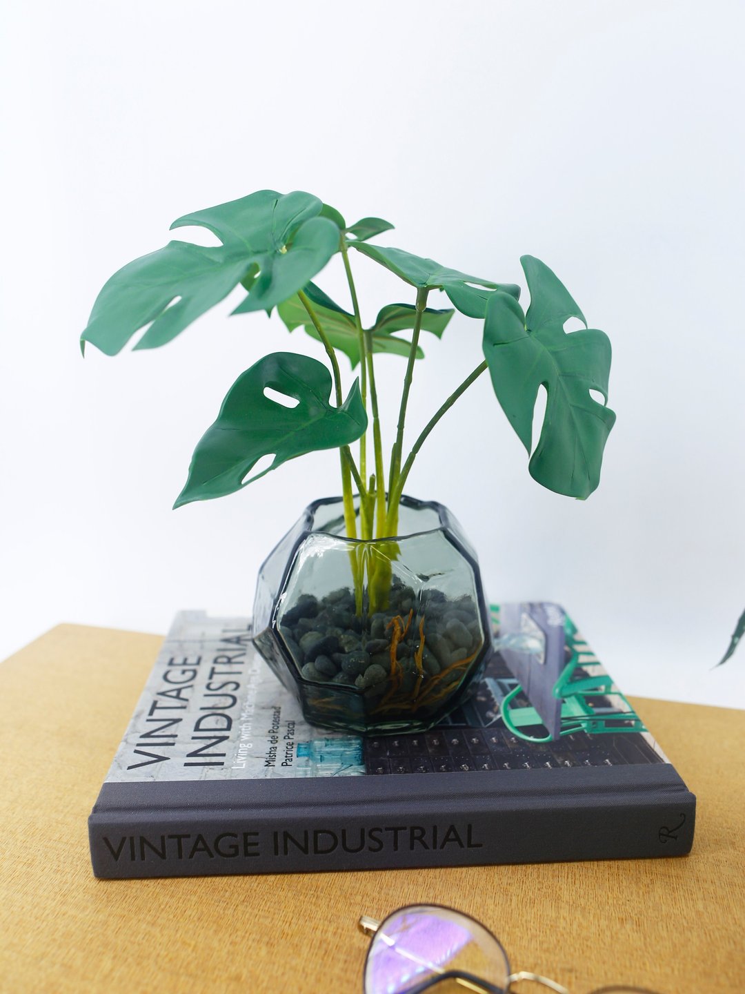 DIY龟背叶盆栽材料包 / 电信叶 / 拟真植栽 / 水耕植物 / 手作 - 植栽/盆栽 - 其他材质 