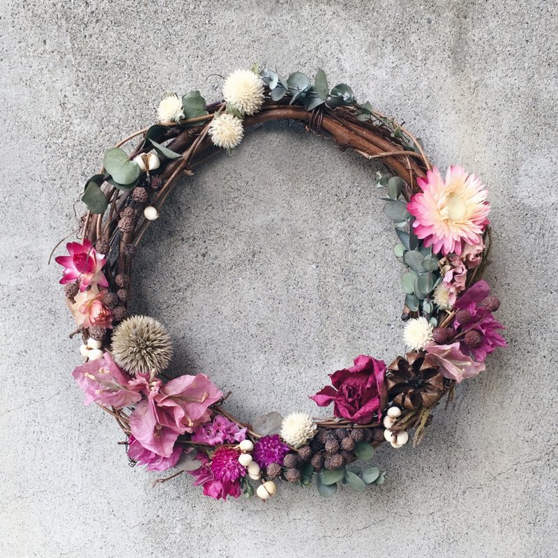 麦杆菊 玫瑰 干燥花圈 - 植栽/盆栽 - 植物．花 粉红色