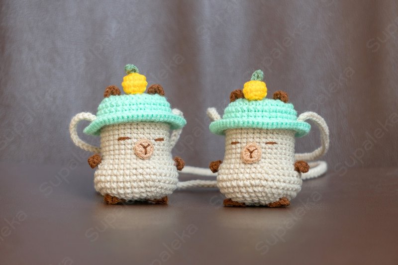 25 克吸入器盒，带有水豚设计（仅盒子） - 其他 - 其他材质 