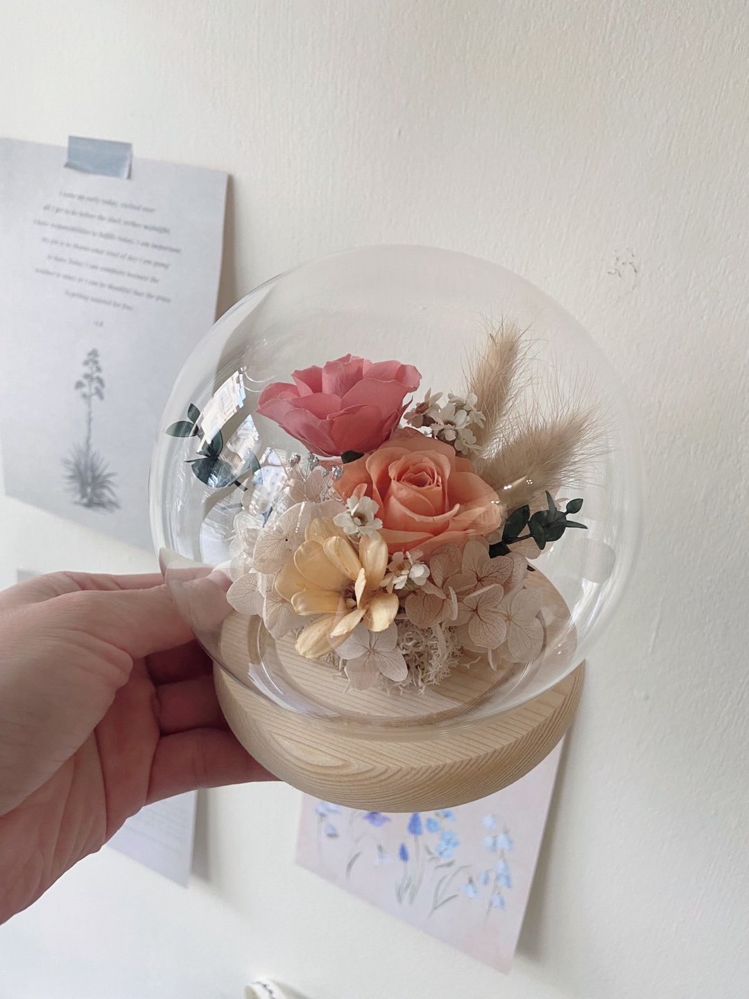 永生不凋花 干燥花 玻璃球 - 干燥花/捧花 - 玻璃 多色