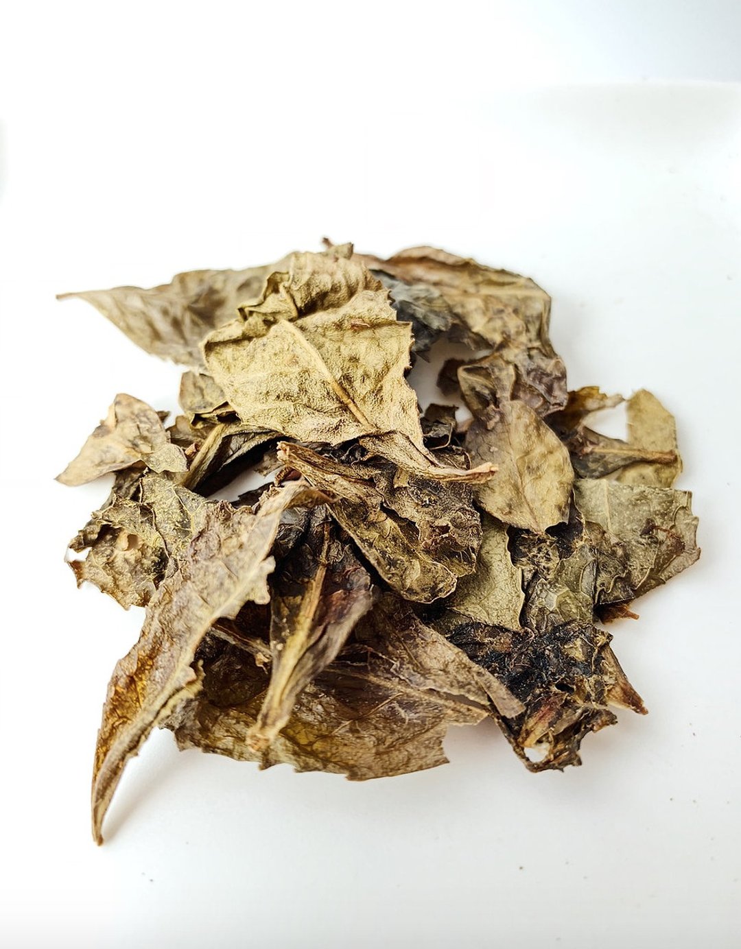 阿波晚茶 - 茶 - 其他材质 