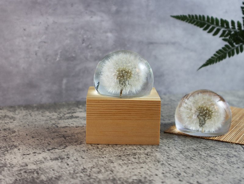 梦天涯 蒲公英冰砖~音乐盒(半圆) 发条 - 摆饰 - 树脂 白色