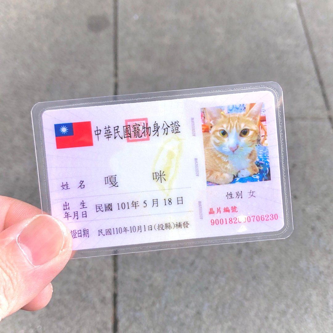 【 限时优惠 】宠物身份证 (定制纪念商品) - 其他 - 纸 多色