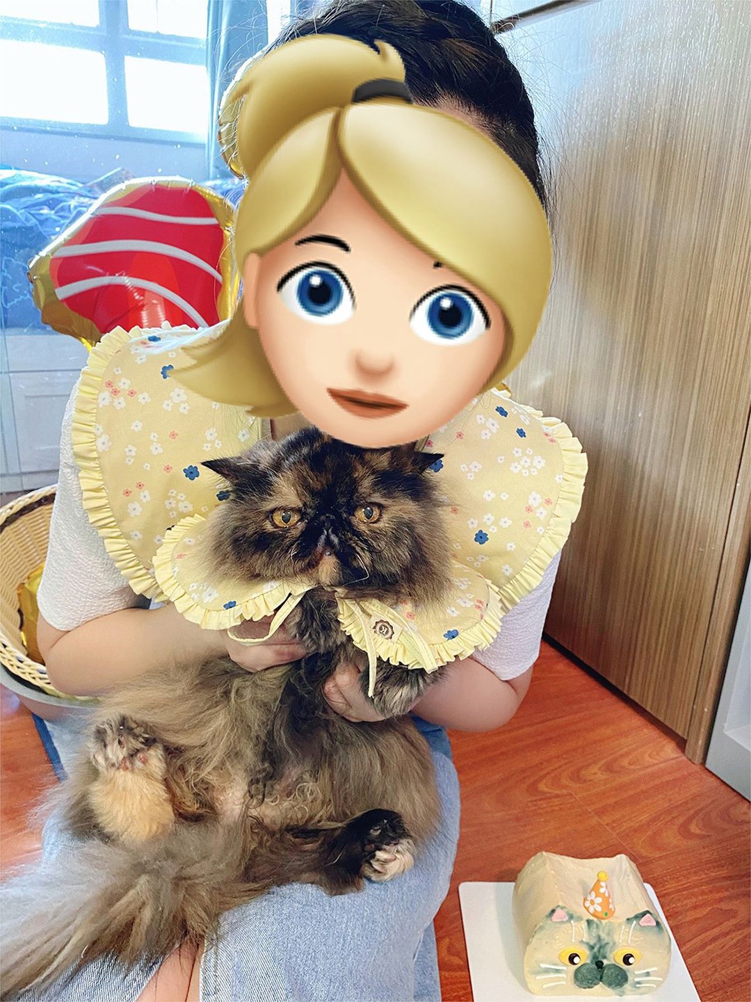 亲子装  妈咪宠物花边领子 假领子 猫狗项圈 - 亲子装 - 棉 多色
