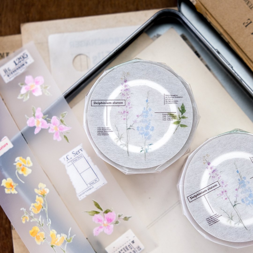 绽语 / 雾面 PET 纸胶带 - 纸胶带 - 塑料 多色