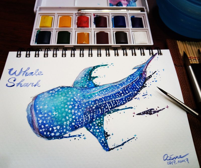 台中 海洋系水彩插画 (一人成团) - 插画/绘画/写字 - 纸 