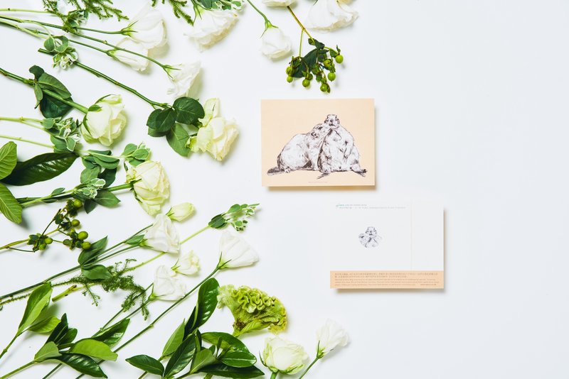 墨西哥土拨鼠, 濒危物种:明信片小卡/ 一卡一捐 - 卡片/明信片 - 纸 橘色