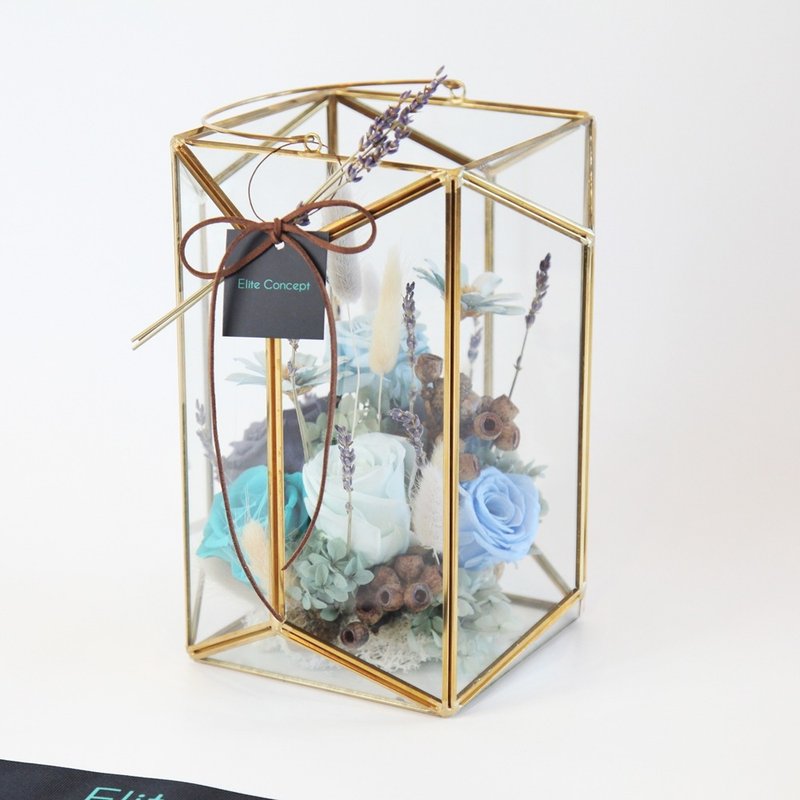 蓝薰 /八角玻璃屋永生花 - 植栽/盆栽 - 植物．花 蓝色