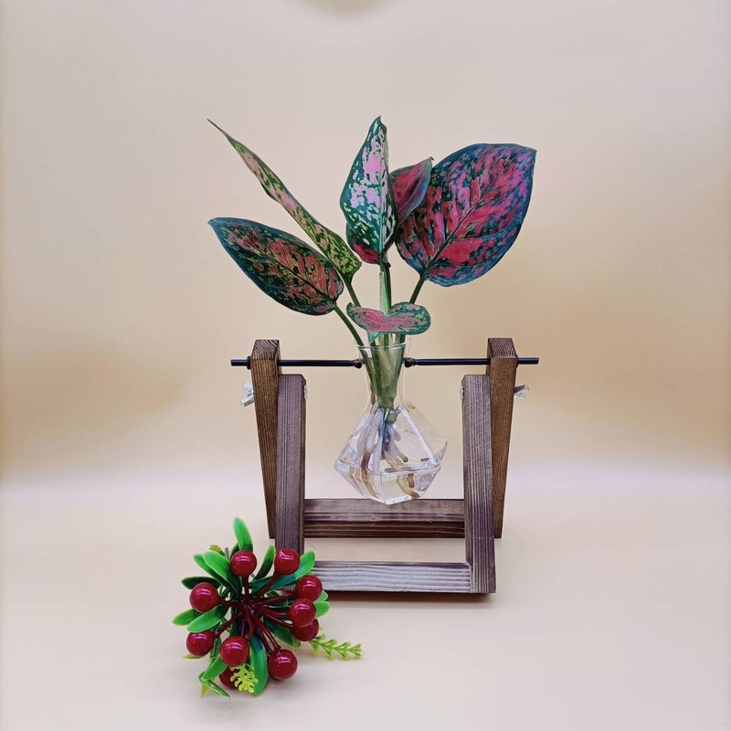 水培植物 亚曼尼粗助草 懒人植栽 创意木架 室内 - 植栽/盆栽 - 木头 咖啡色