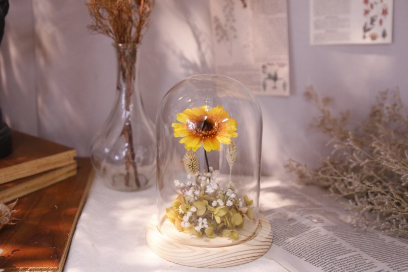 毕业季特别款_向日葵永生花盅 - 干燥花/捧花 - 植物．花 黄色