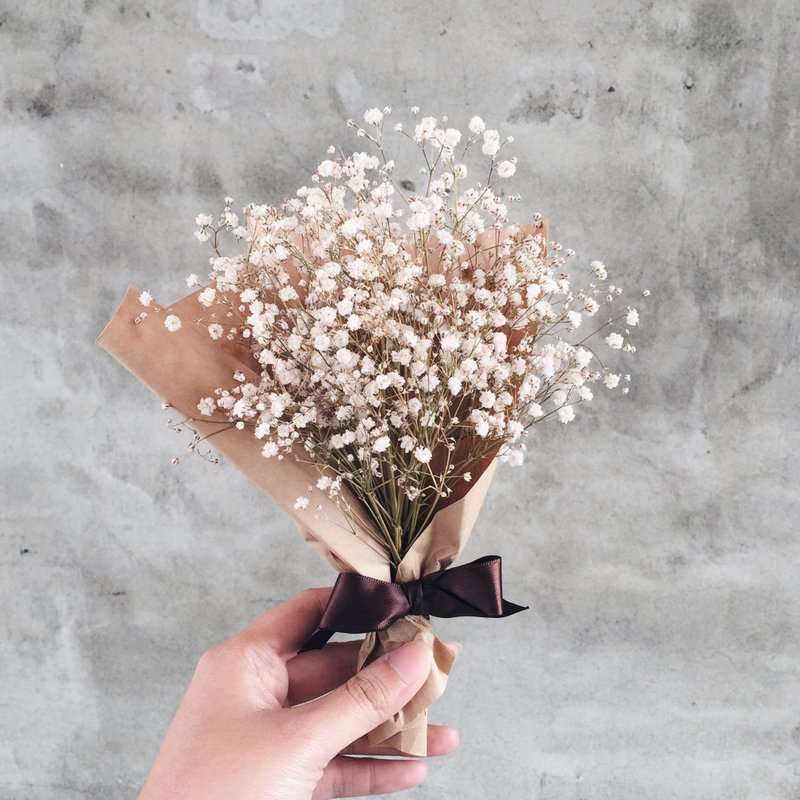 满天星 干燥花束 - 植栽/盆栽 - 植物．花 白色