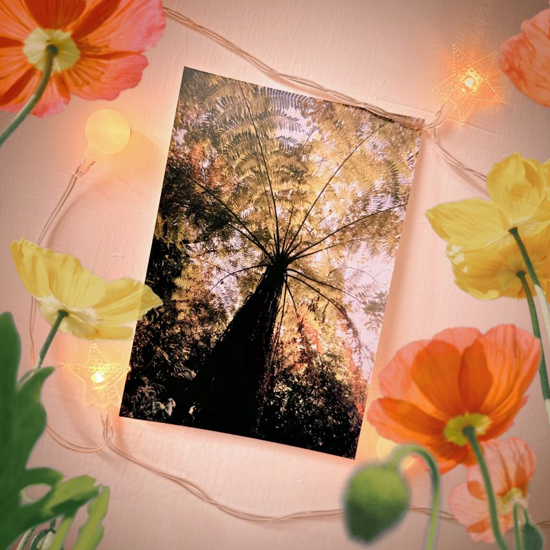 have a nice day 外星人游台湾明信片/酷卡/笔筒树/大天使们 - 卡片/明信片 - 纸 多色