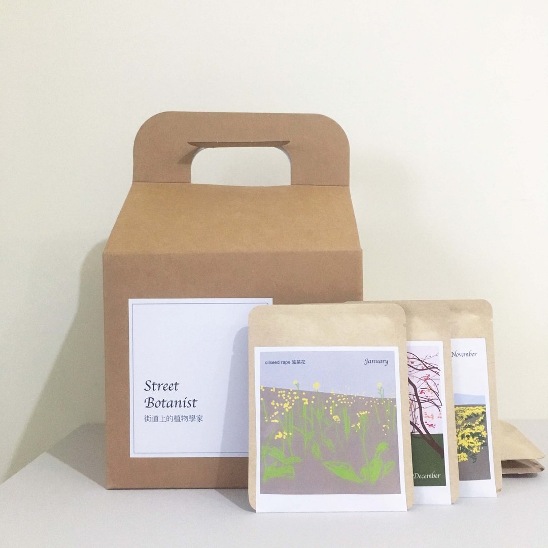 Street Botanist 街道上的植物学家/挂耳咖啡12入组/春夏秋冬 - 咖啡 - 新鲜食材 多色