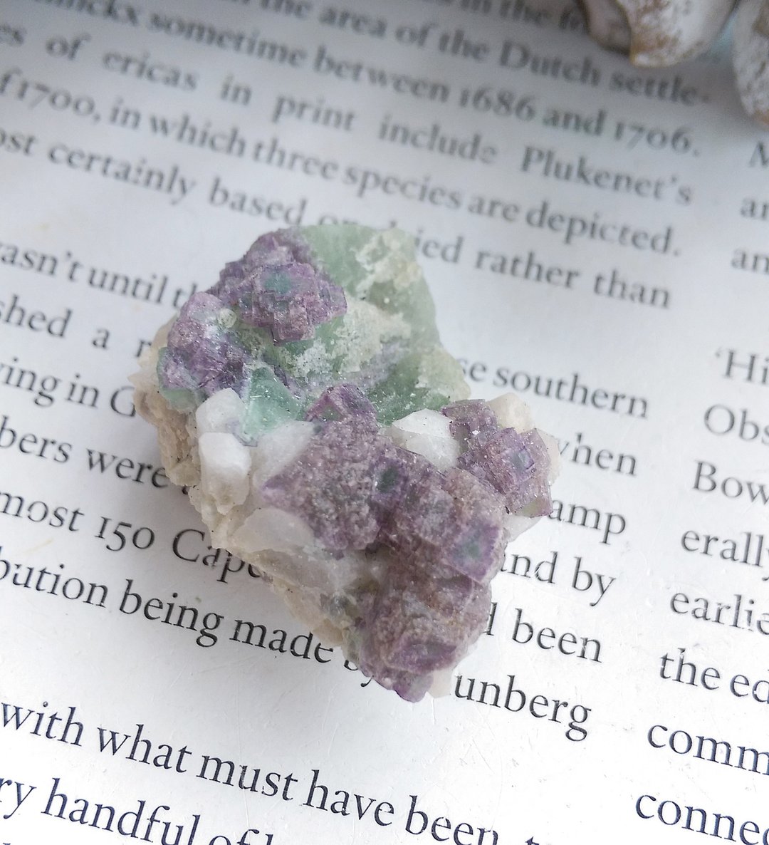 Fluorite 内蒙产地  紫绿色双色萤石 方解石共生 天然矿石 原矿 - 摆饰 - 其他材质 
