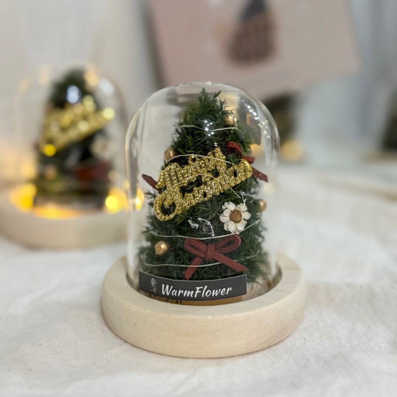 【圣诞礼盒】迷你圣诞树玻璃盅 共2款 | 永生花/干燥花/交换礼物 - 干燥花/捧花 - 植物．花 多色