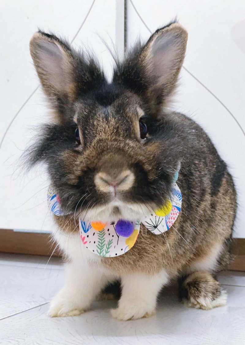 森林中的小企鹅四叶草款 兔兔款 - 项圈/牵绳 - 棉．麻 多色