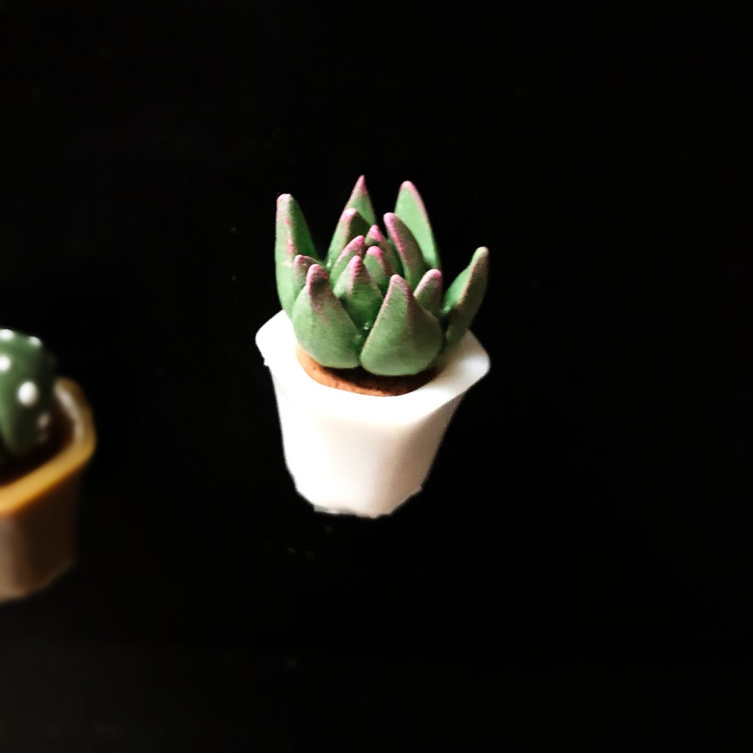 Q版多肉植物花盆磁石 - 冰箱贴/磁贴 - 粘土 