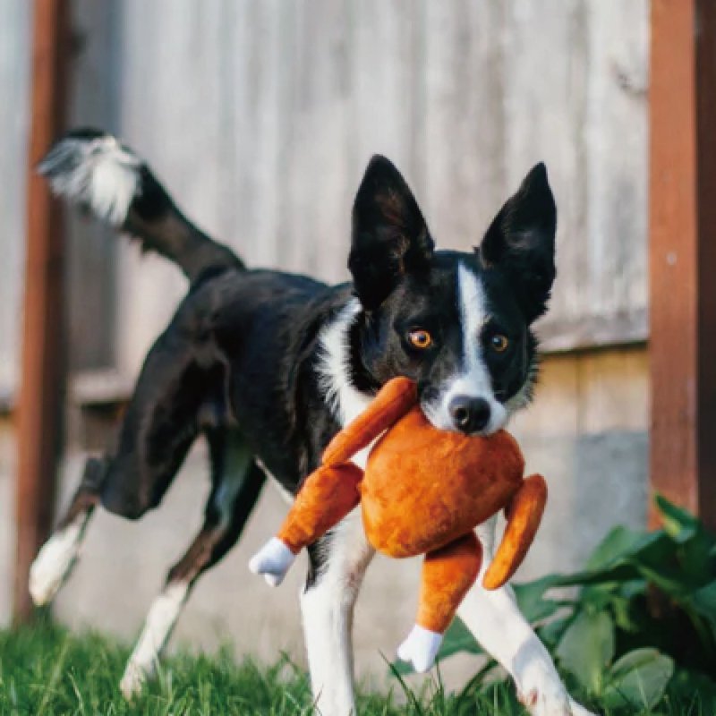 宠物玩具 狗狗 圣诞大餐  烤火鸡  啾啾声 - 玩具 - 环保材料 