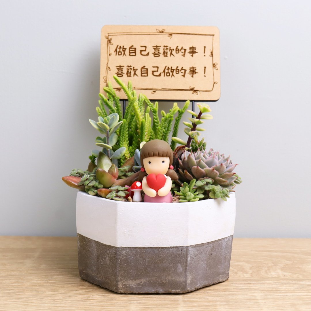 爱心 多肉盆栽 字牌定制 水泥 婚礼 生日 开幕 送礼 毕业 母亲节 - 植栽/盆栽 - 水泥 灰色