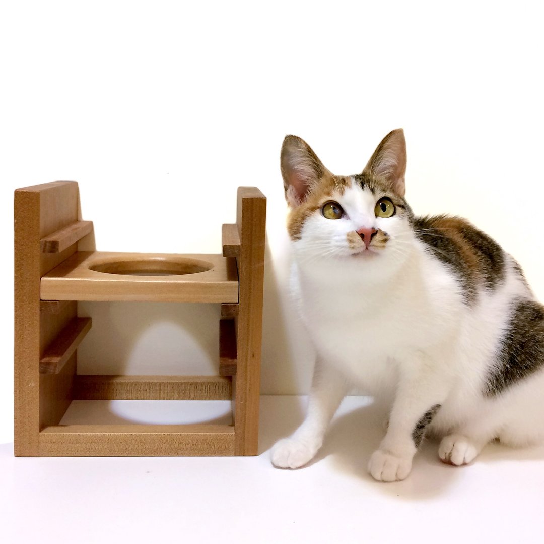 《斑马与狗．寸光》可调式宠物餐桌 单碗 中小型犬 狗餐桌 猫餐桌 独家设计 - 碗/碗架 - 木头 