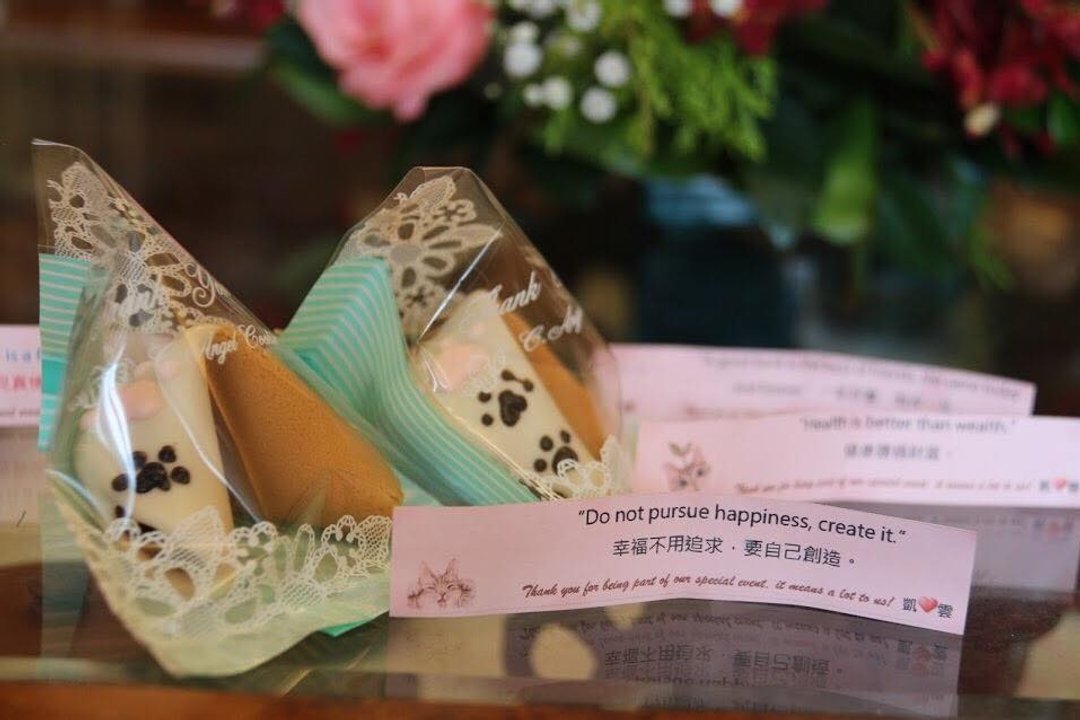猫掌幸运签饼礼盒 - 手工饼干 - 新鲜食材 粉红色