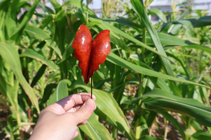 【订制】永生黑叶芋盆栽 红铜纯手工锻敲 疗愈礼物 - 植栽/盆栽 - 铜/黄铜 红色