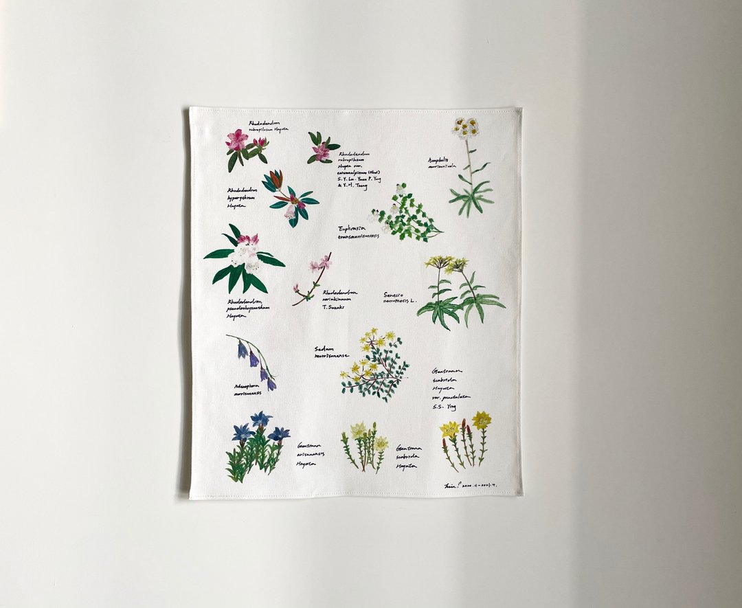 台湾山林挂布 - 高山花 / 附挂布夹 - 海报/装饰画/版画 - 棉 白色