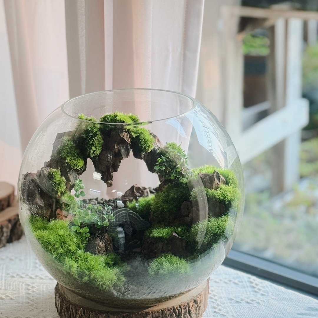 【一物一拍】一方山水:桌上的微缩森林 苔藓生态缸(A) - 植栽/盆栽 - 植物．花 绿色