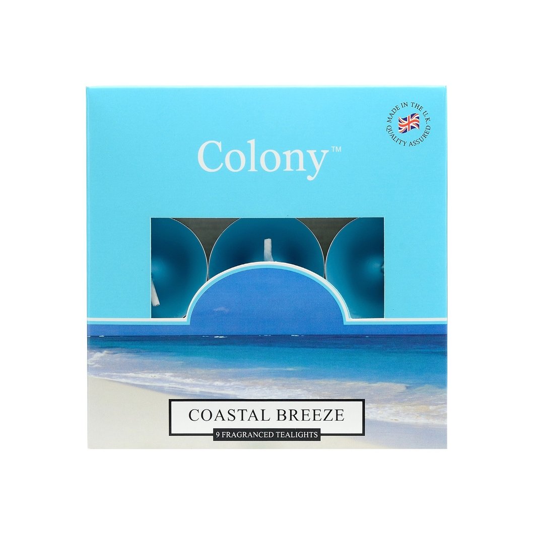 英伦蜡烛 Colony系列  徐徐海风  9入迷你蜡烛 - 蜡烛/烛台 - 蜡 蓝色