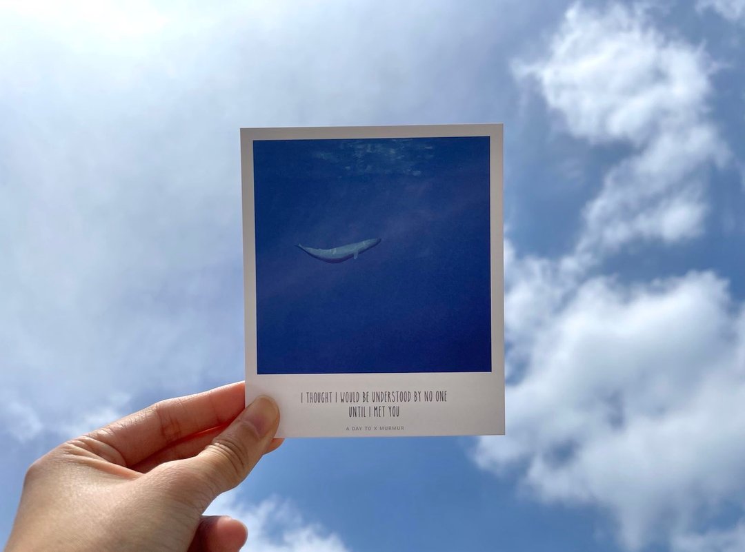 【MURMUR 明信片】I THOUGHT I WOULD BE UNDERSTOOD BY NO ONE - 卡片/明信片 - 纸 蓝色