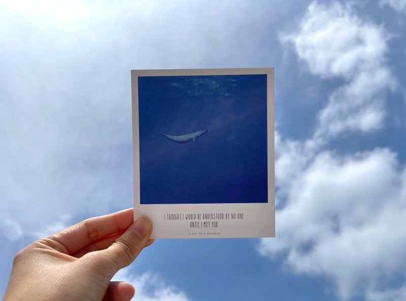 【MURMUR 明信片】I THOUGHT I WOULD BE UNDERSTOOD BY NO ONE - 卡片/明信片 - 纸 蓝色