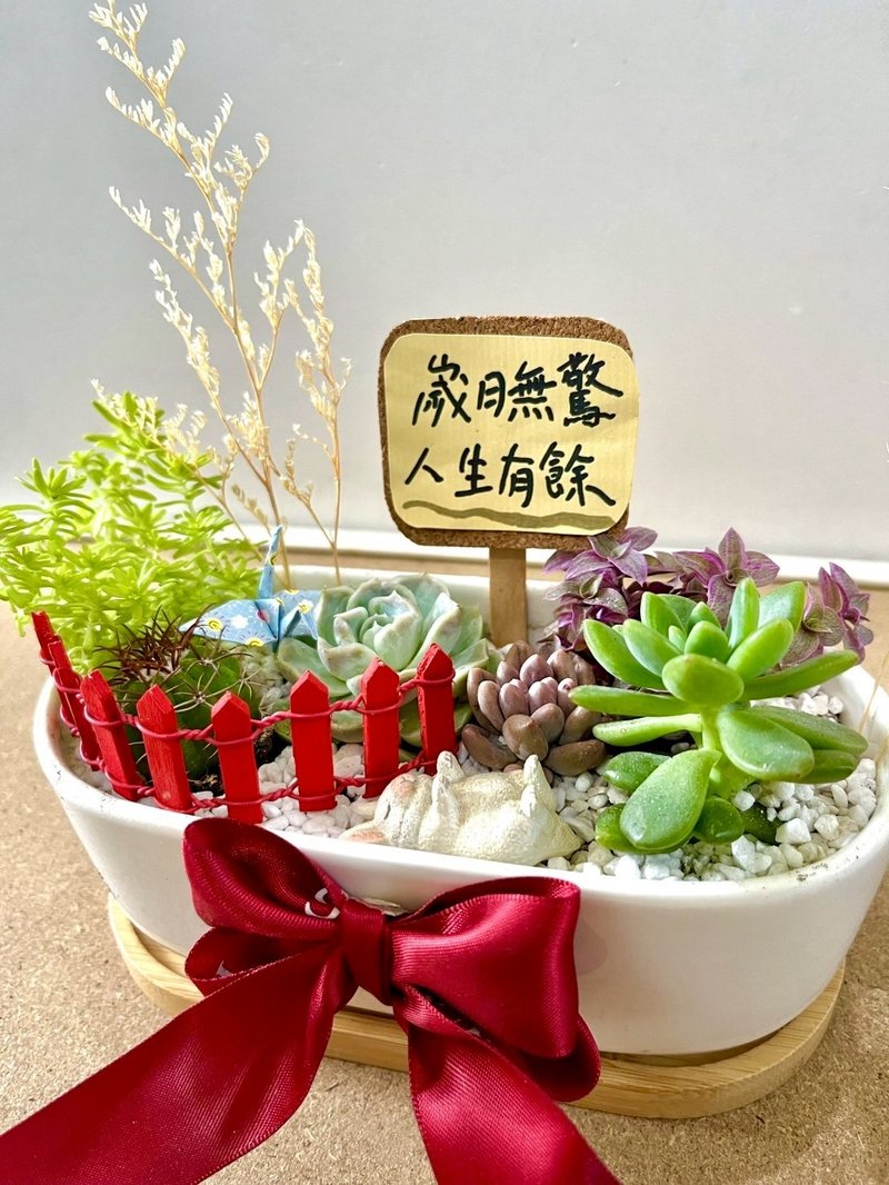 多肉组盆 多肉植物 日式枯山水 兔子 白兔 兔奴送礼 禅意 定制化 - 植栽/盆栽 - 植物．花 绿色